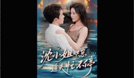 小姐在线观看完整版,一场跨越身份与欲望的激情之旅