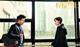 柠檬初上在线观看,浪漫邂逅，甜蜜绽放