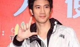 王力宏历年爆料事件视频,揭秘娱乐圈风云变幻