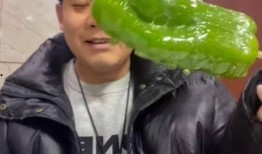 网红吃瓜入口最新事件视频,揭秘幕后真相，带你直击现场