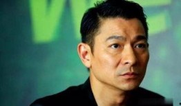 刘德华娱乐圈男神资讯八卦爆料,娱乐圈男神背后的八卦风云