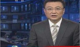 爆料王宁新闻最新消息,揭秘娱乐圈惊人内幕