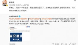 吃瓜文件娱乐圈,揭秘“吃瓜文件”背后的真相