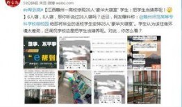 丹东都市爆料最新消息今天,今日热点事件速览！