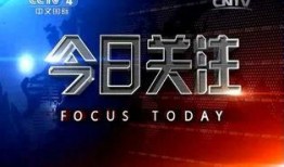 今日关注怎么爆料信息,如何高效爆料信息