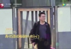 郑恺被朋友爆料视频合集,独家视频合集揭秘生活瞬间