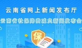 云南新闻爆料,揭秘神秘事件背后的真相