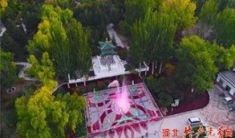 张家口公园爆料事件视频,视频揭露惊人真相