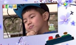 娱乐新闻大爆料网站,明星幕后故事大曝光！