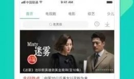 韩流资讯爆料视频下载网站,一网打尽热门韩剧、综艺、明星动态