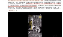爆料现场完整版视频,完整版视频揭秘事件真相