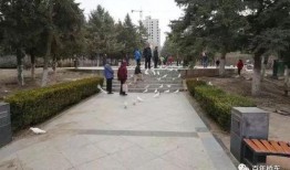 张家口公园爆料事件视频,视频揭露惊人真相