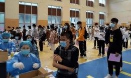 锦州江山赋最新消息爆料,揭秘神秘项目背后的惊人真相