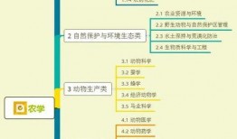 月饼新闻爆料视频大全集,揭秘中秋佳节背后的故事与真相
