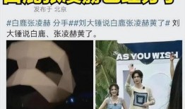 大瓜爆料刘大锤视频,揭秘娱乐圈惊人内幕