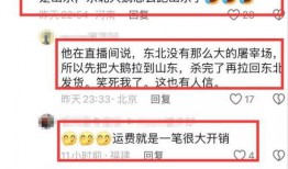 爆料大鹅解说视频大全集,揭秘热门游戏幕后故事