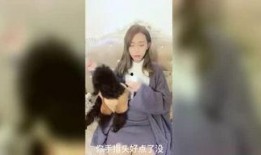 娱乐圈爆料小百合是谁,揭秘神秘爆料者的真实身份