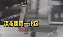 狗仔爆料许沁视频播放,许沁视频引发热议