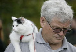 今日动物爆料新闻最新,今日动物爆料新闻揭秘