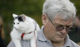 今日动物爆料新闻最新,今日动物爆料新闻揭秘