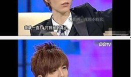 郭敬明爆料访谈视频全集,全集内容深度解析
