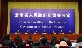 云南新闻爆料,揭秘神秘事件背后的真相