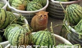 网红吃瓜独家爆料,揭秘娱乐圈惊人内幕