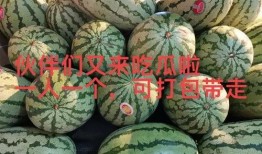 最新爆料大瓜,神秘大瓜震惊业界，真相即将揭晓！
