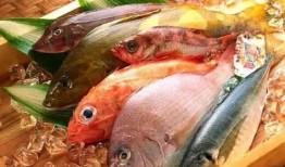 臭鱼烂虾爆料视频下载,臭鱼烂虾爆料视频背后的真相与下载攻略