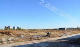 张家口公园爆料事件视频,视频揭露惊人真相