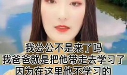 陈小姐深圳最新爆料视频,揭秘城市热点事件