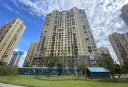 新宇星城爆料事件最新,揭秘背后真相与争议