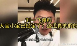 北京大宝爆料视频最新版,事件真相与幕后黑幕