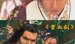 碧血剑2007版在线观看,重温江湖传奇，感受武侠风华