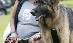 今日动物爆料新闻最新,今日动物爆料新闻揭秘