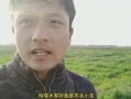 表哥吃瓜长相思免费阅读,一场关于长相思的免费阅读盛宴