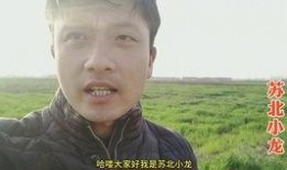 表哥吃瓜长相思免费阅读,一场关于长相思的免费阅读盛宴